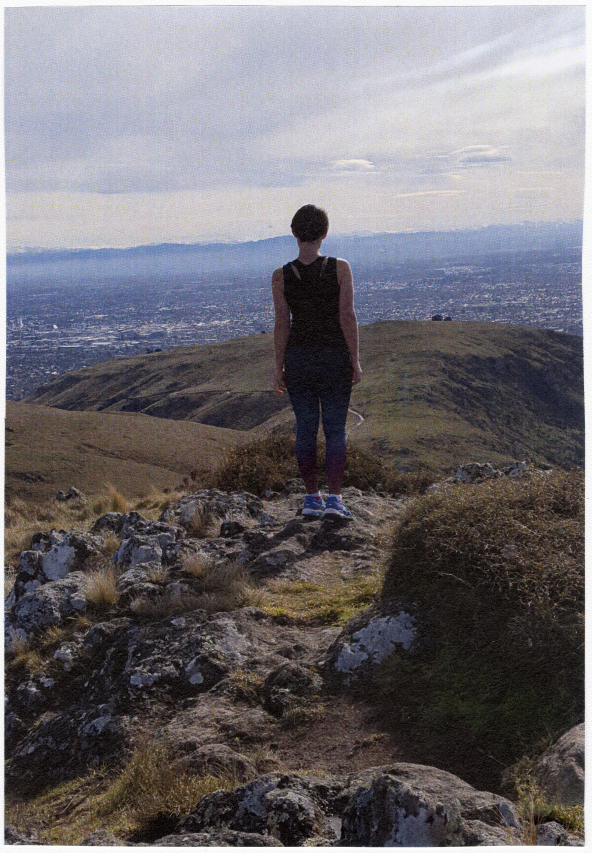 looking-at-the-view-discoverywall-nz