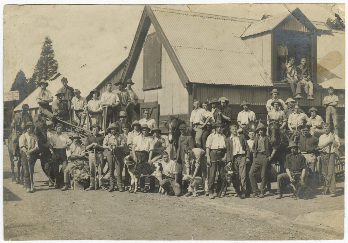 Lincoln College Students 1915. Christchurch City Libraries Photo Hunt. In copyright. </a></dt>
 	<dd class=