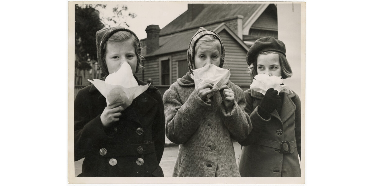 Candy floss at Industries Fair discoverywall.nz