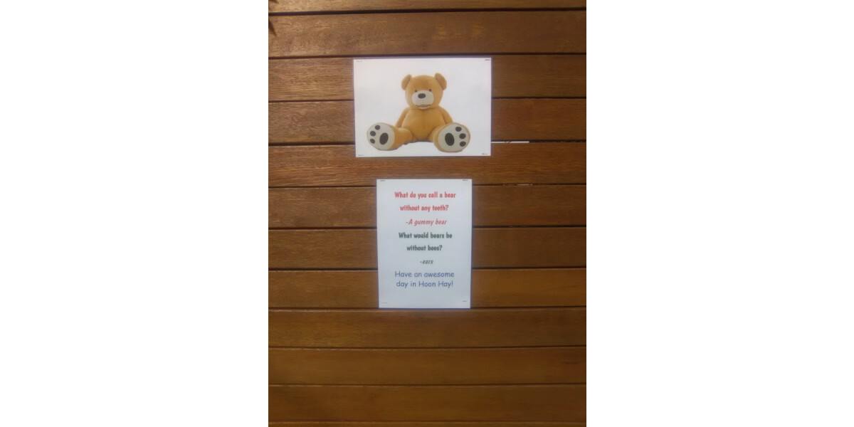 alternative-teddy-bear-hunt-discoverywall-nz