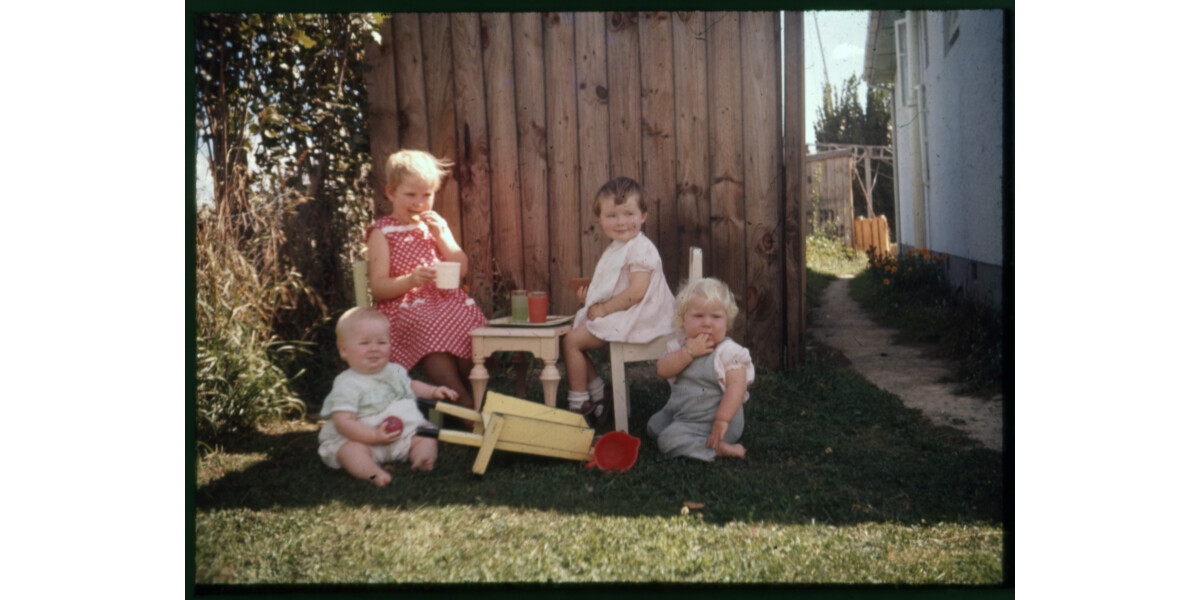 children discoverywall.nz