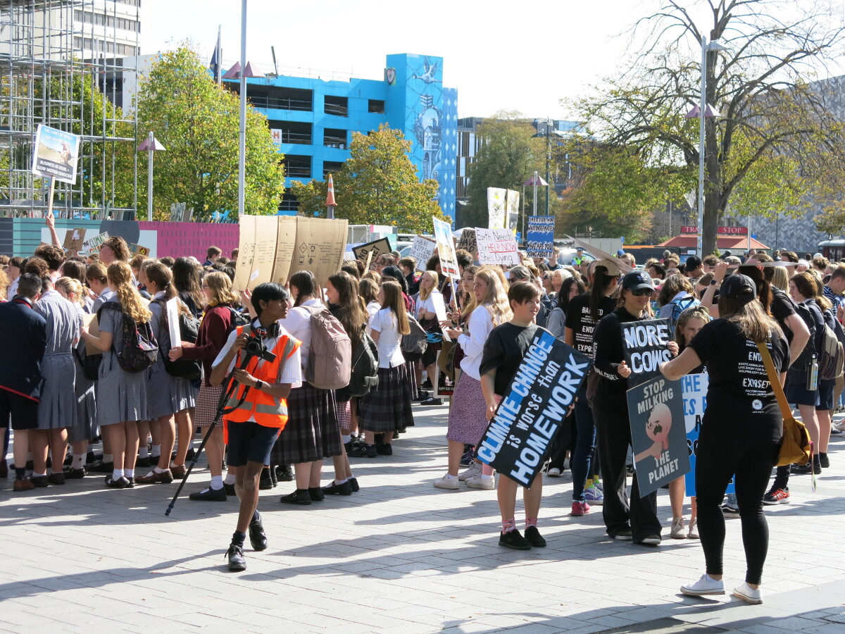 School Strike For Climate Meaning