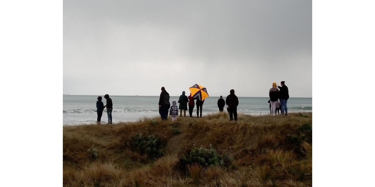 Whales watchers at New Brighton near Pier | discoverywall.nz