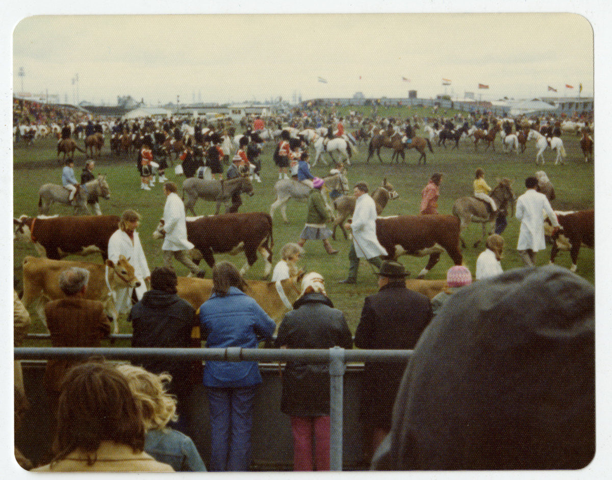 Grand Parade, A&P Show discoverywall.nz