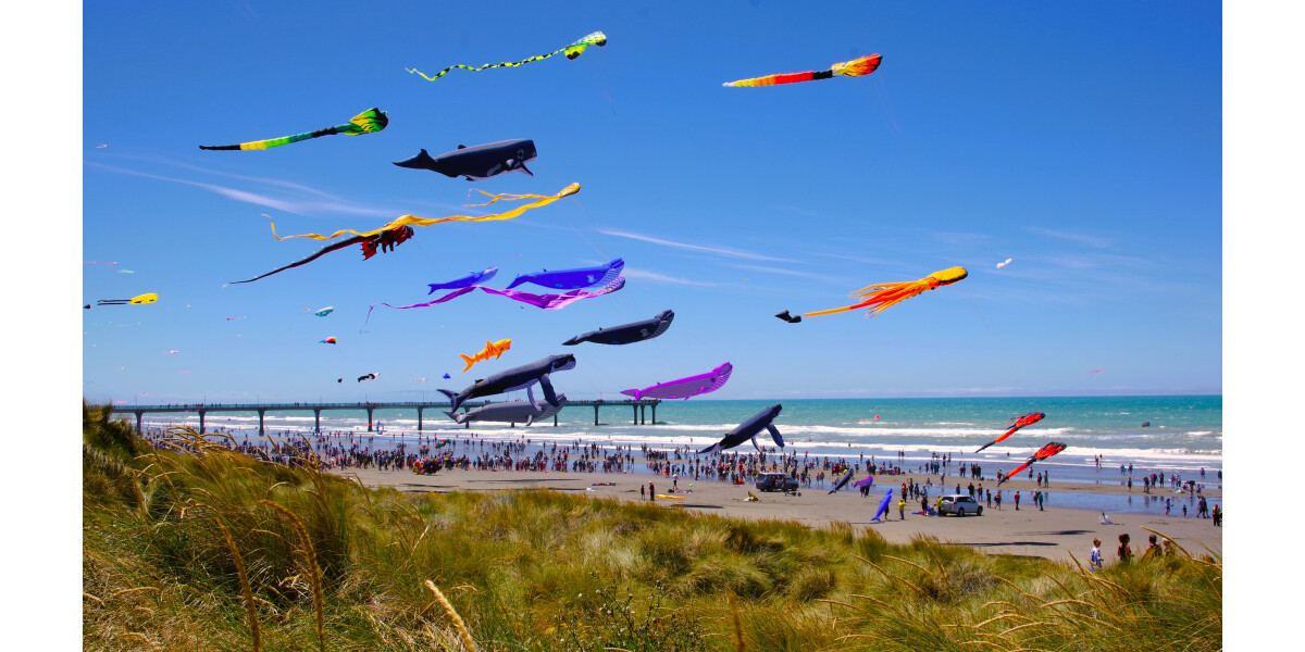 Kite Day 2024 discoverywall.nz