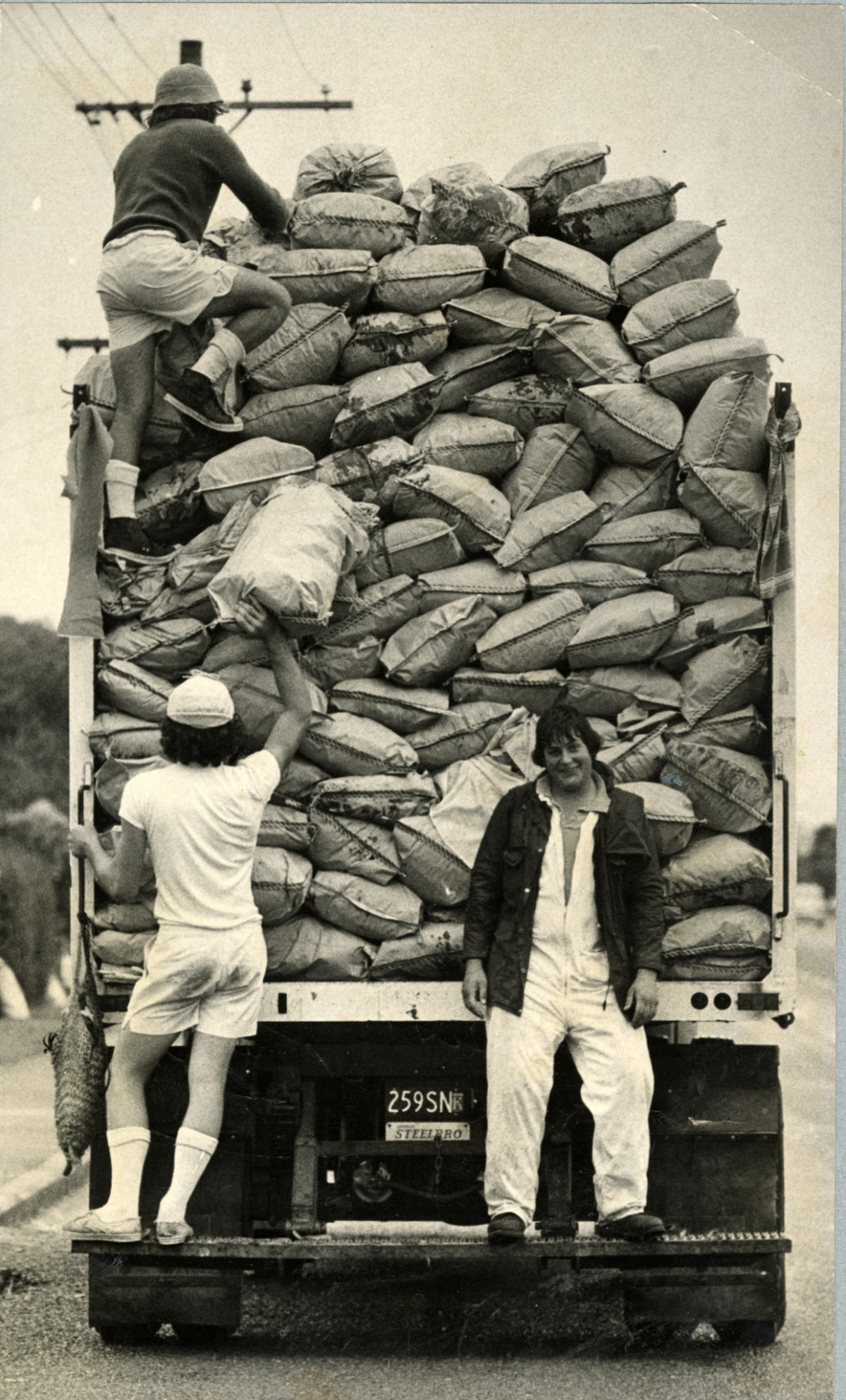 Rubbish collection truck and crew discoverywall.nz