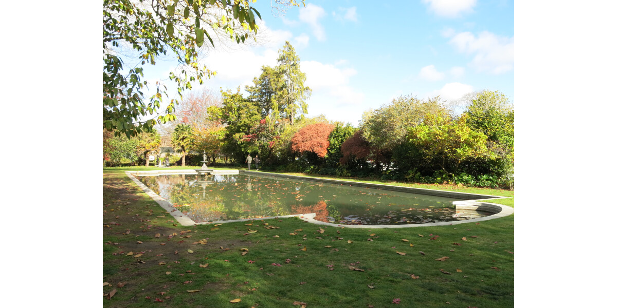 Mona Vale pond | discoverywall.nz