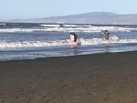 Mid-winter Matariki paddle
