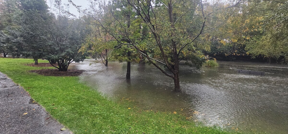 Flooding in Botanic Gardens