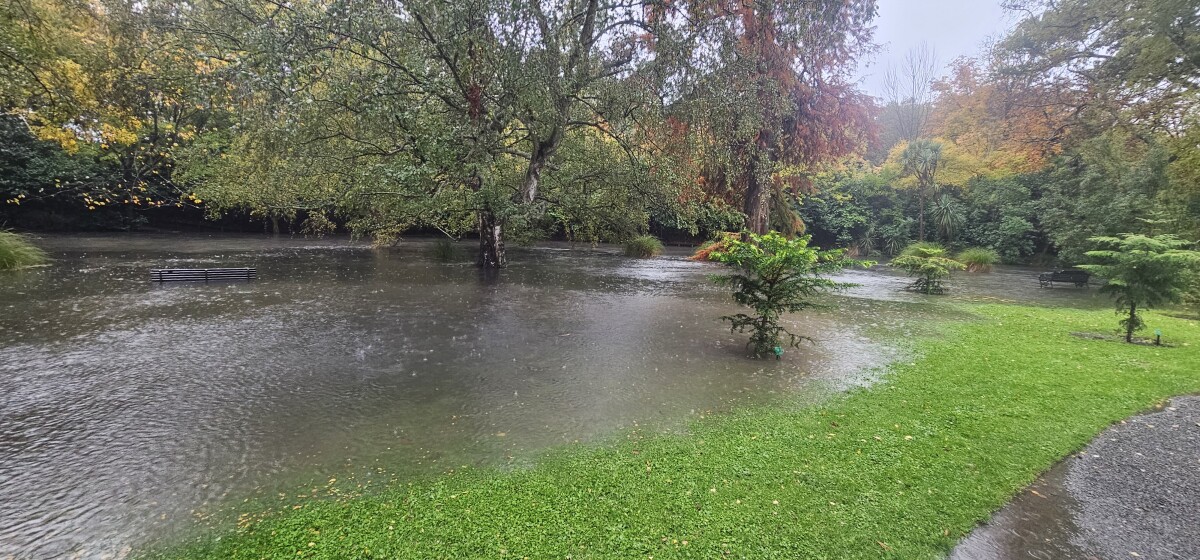 Flooding in Botanic Gardens