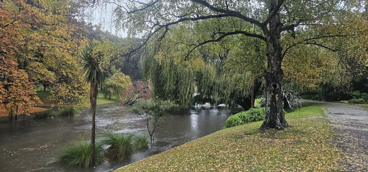 Avon River at the Botanic Gardens
