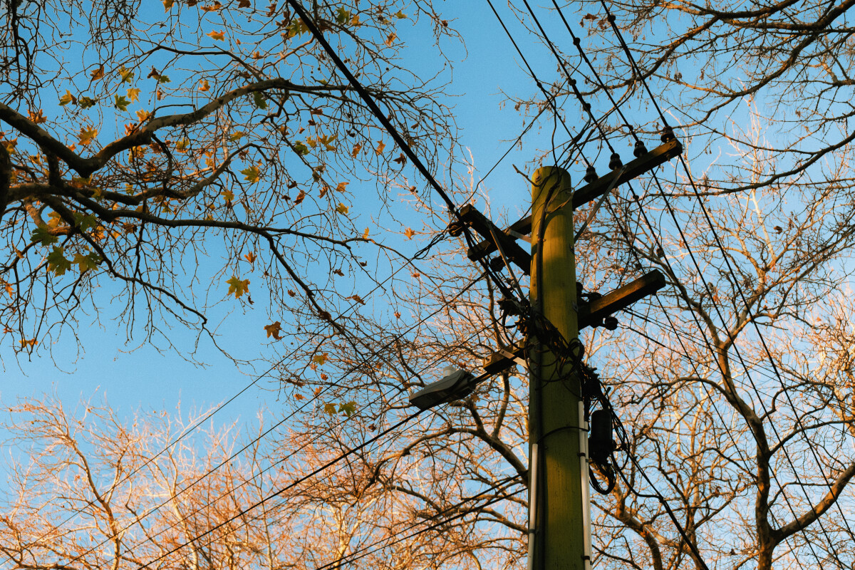 Autumn Tree and Powerline