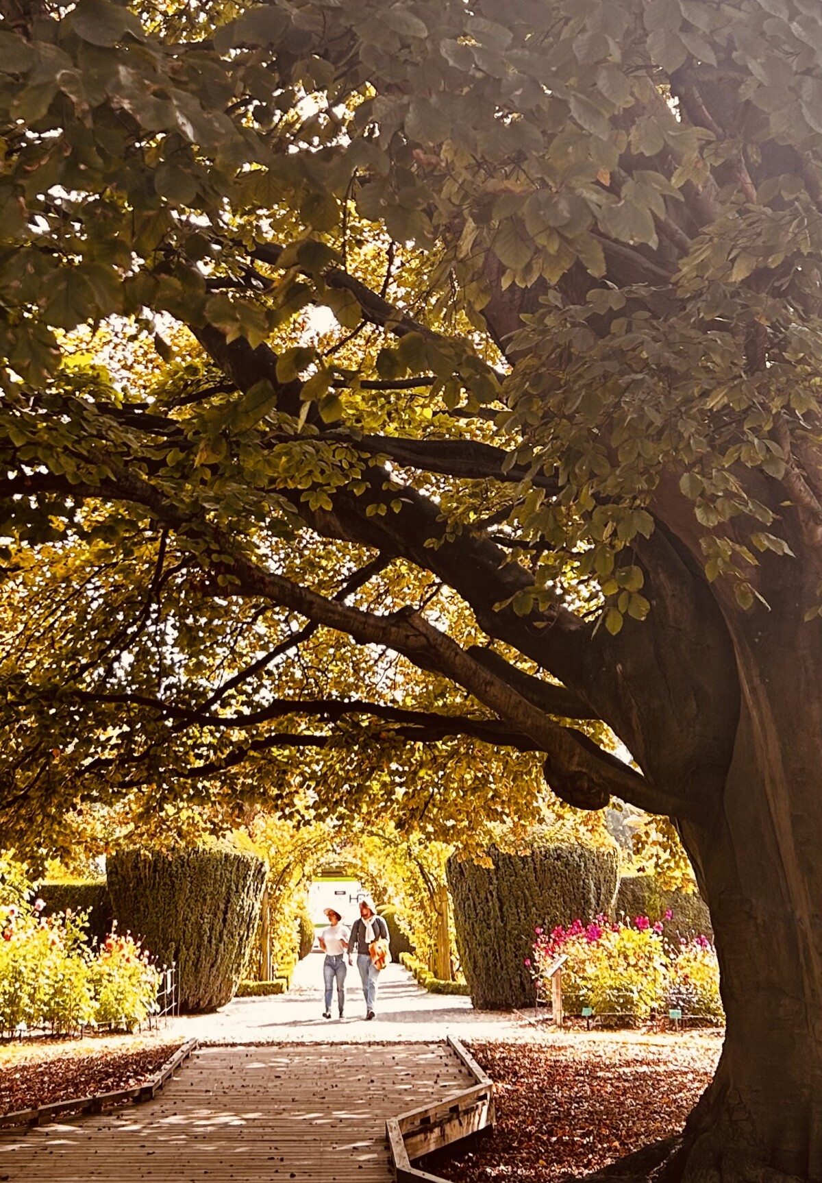 Botanic gardens