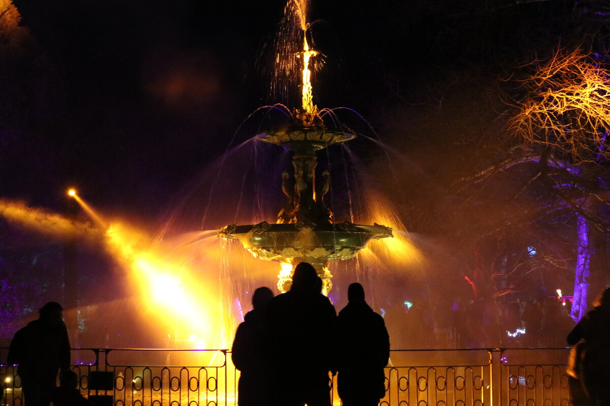 Illuminate Peacock Fountain