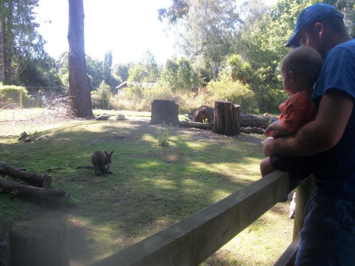 Willowbank wallaby enclosure
