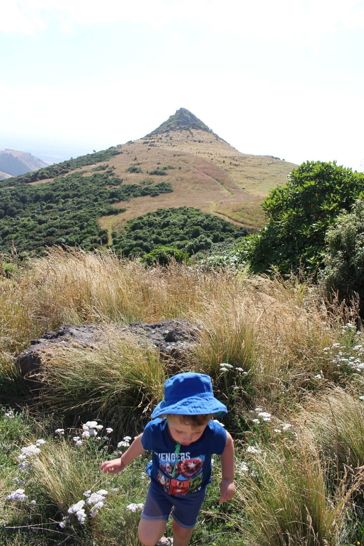 Gibraltar Rock from Omahu Bush Reserve