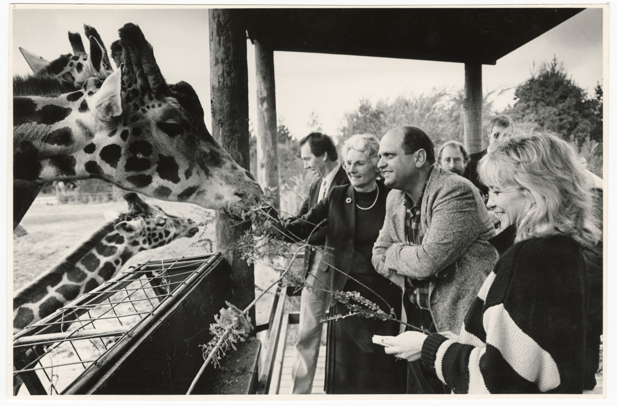 Giraffes at Orana Park. 27 July 1987. Christchurch Star Archive. In copyright. CCL-StarP-01543A. 