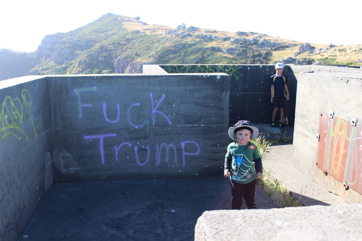 Political graffiti at Godley Heads