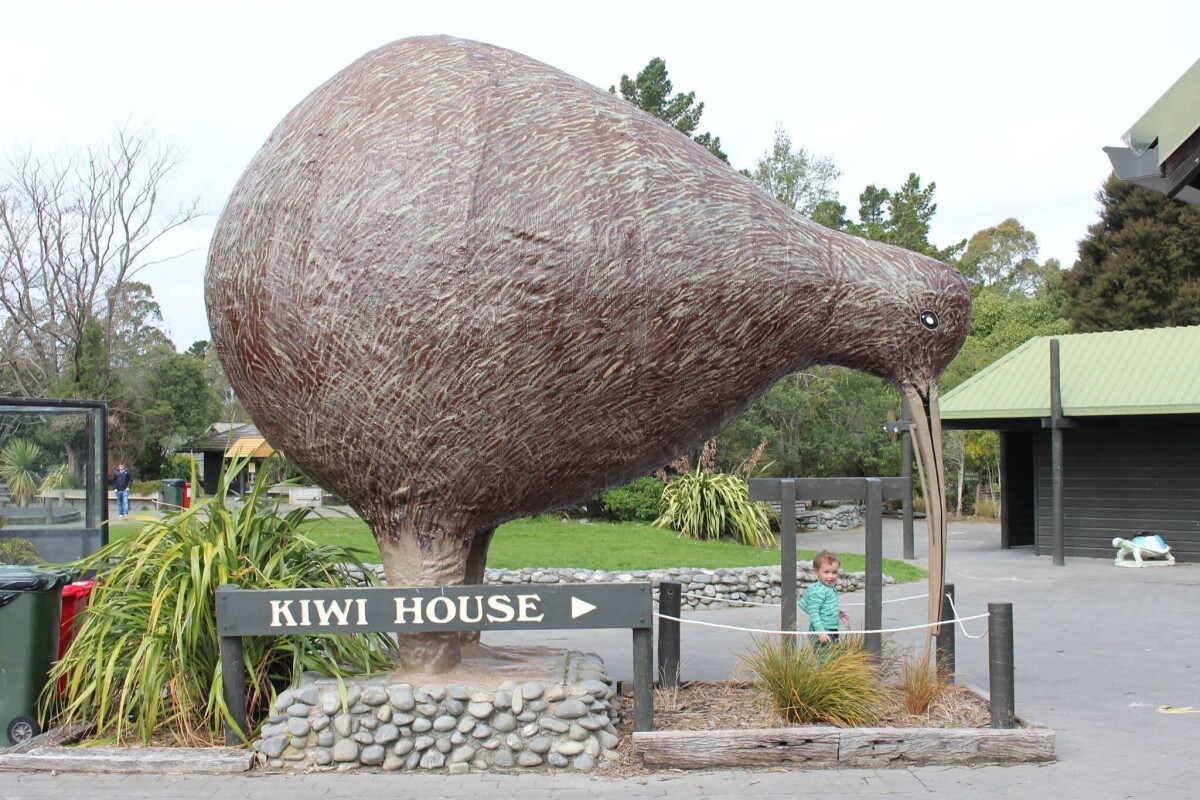 Giant kiwi sculpture