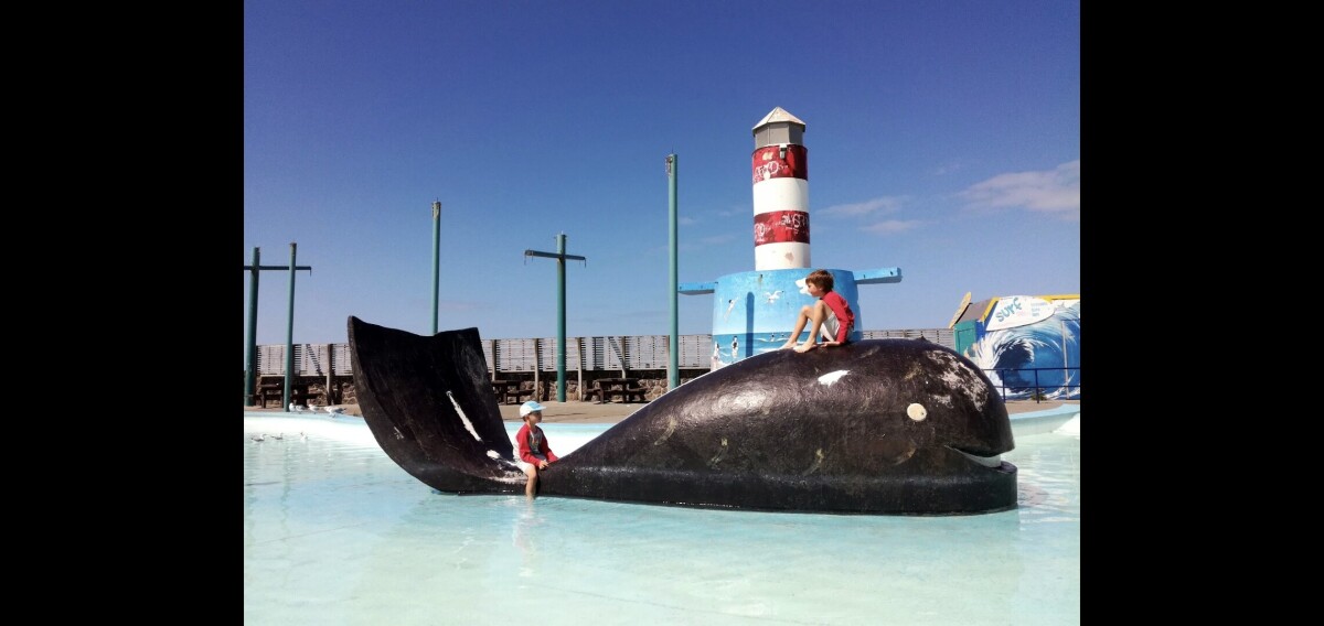 Whale paddling pool