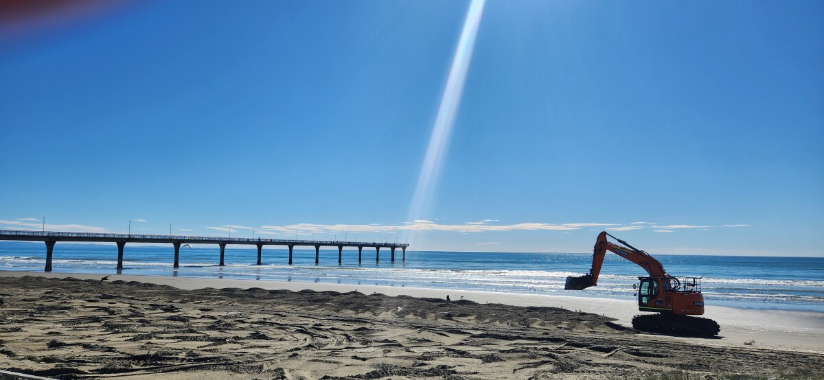 New Brighton beach dune restoration