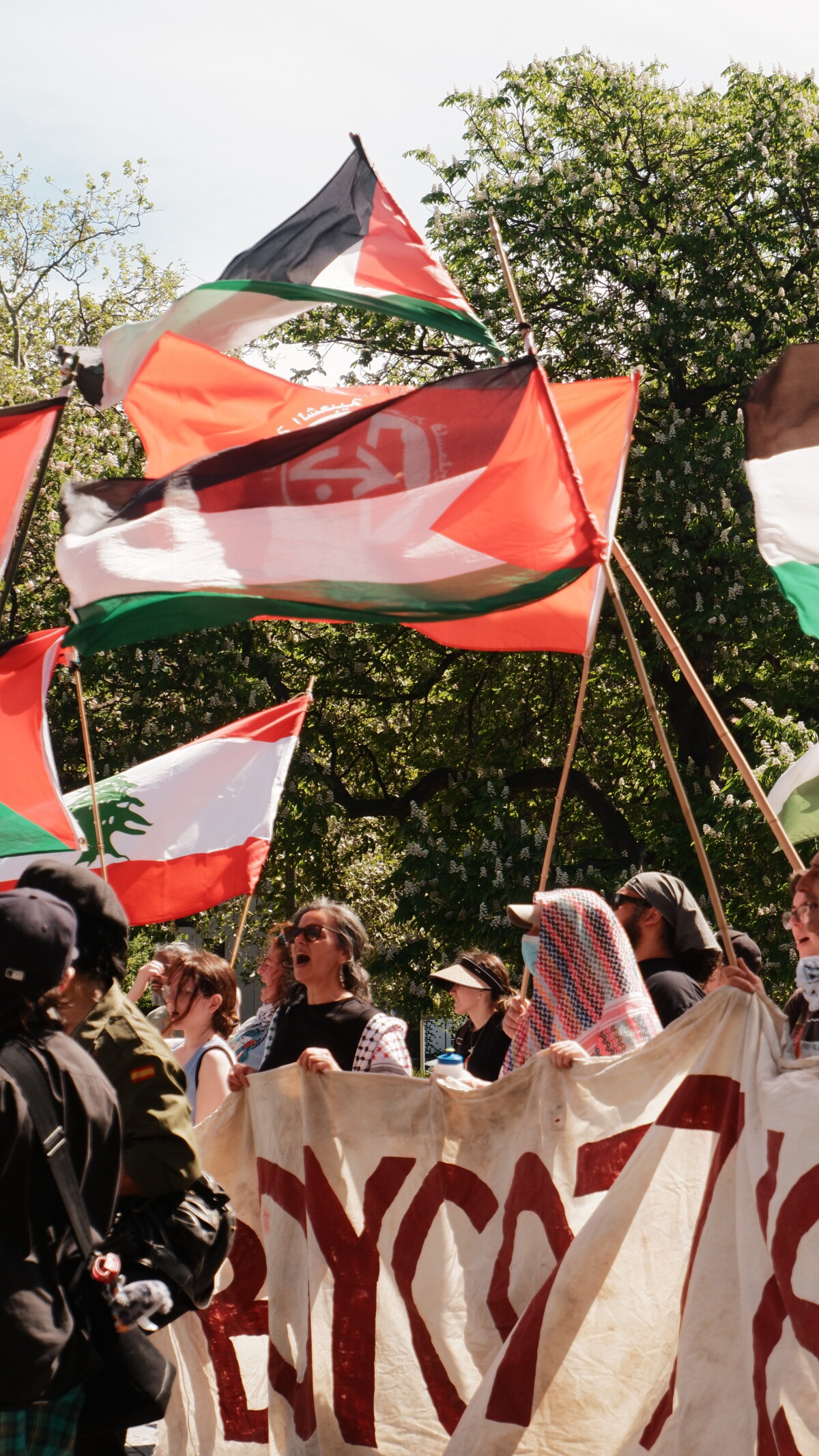 Protest for Palestine