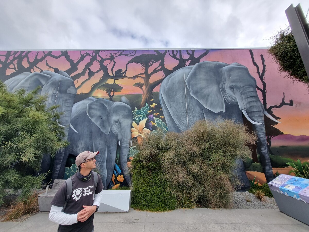 Elephants in The Greenway