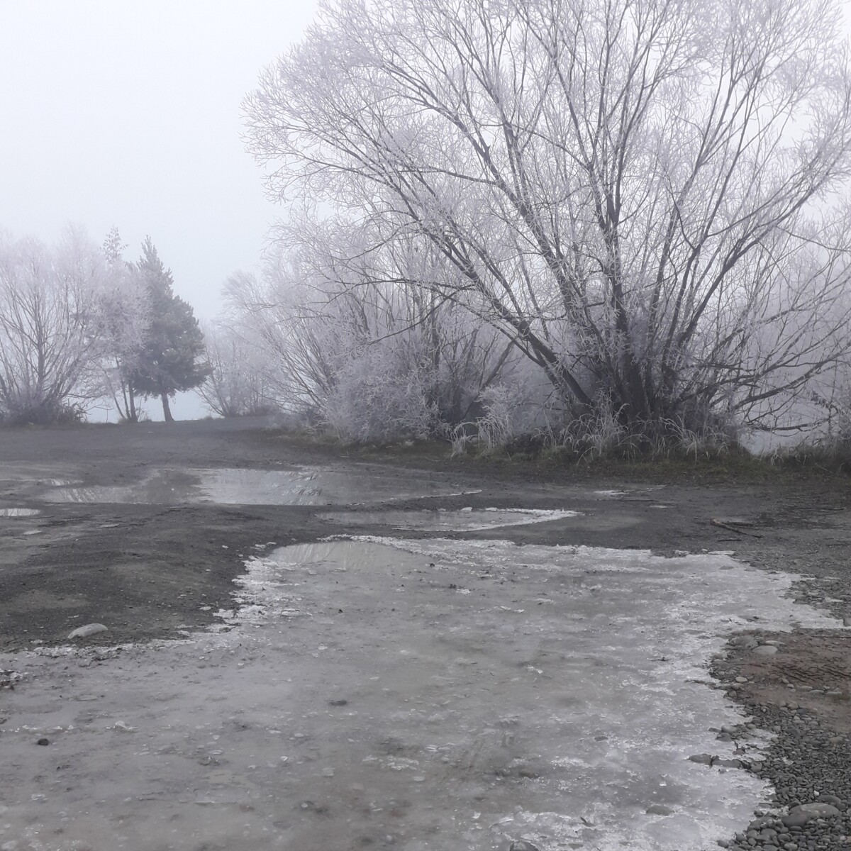 Hoar frost by Lake Ruataniwha