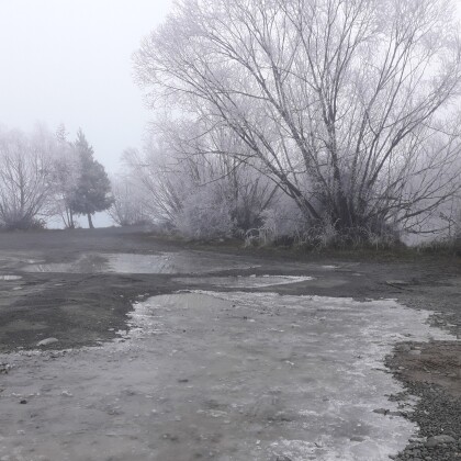 Hoar frost by Lake Ruataniwha