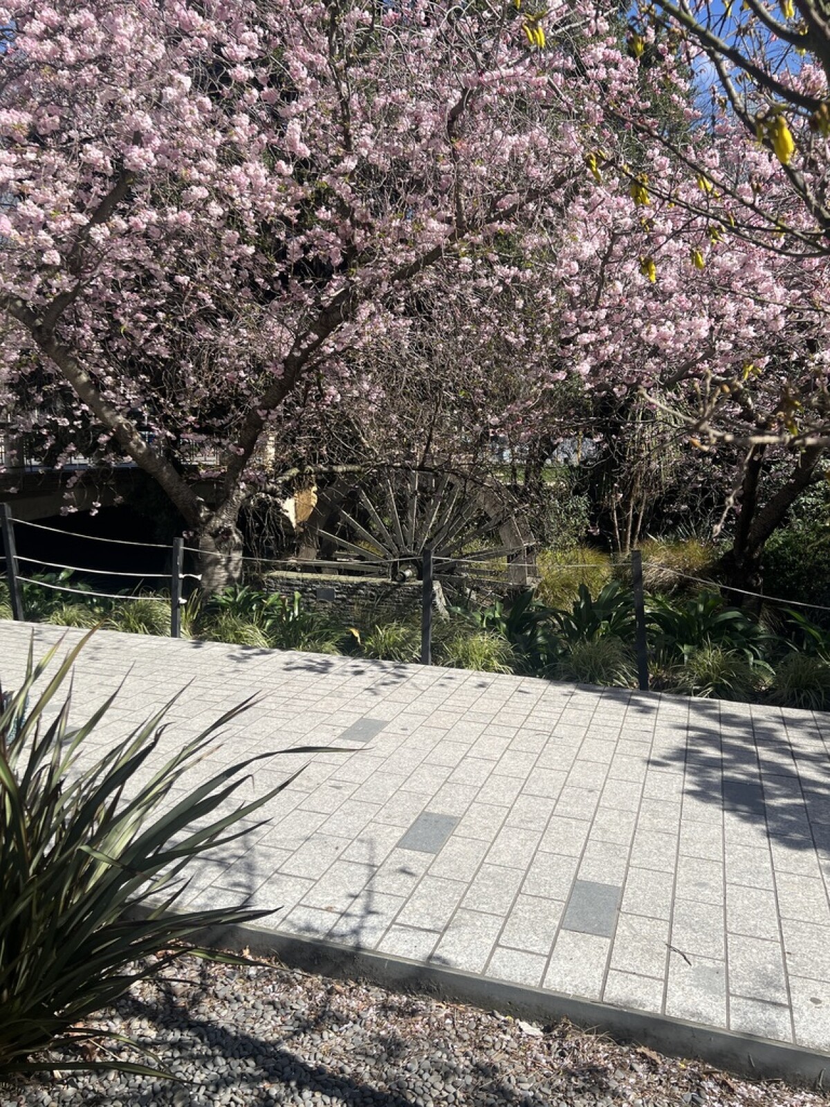 Blossom and Water Wheel