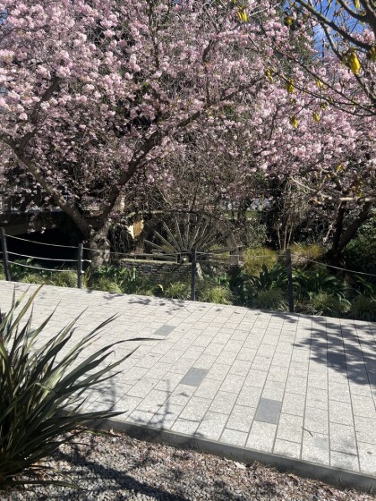 Blossom and Water Wheel