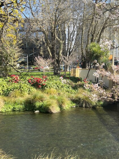 River banks in bloom