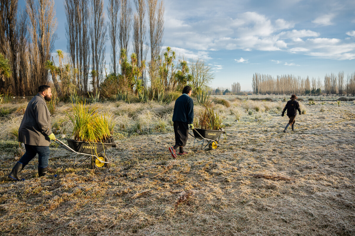 Vanuatu Bislama Language Week planting day