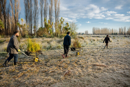 Vanuatu Bislama Language Week planting day
