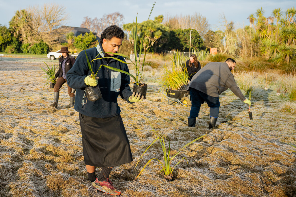 Planting plants during Vanuatu Bislama Language Week