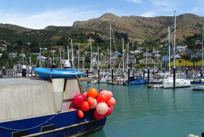 Boats moored at Lyttelton Marina