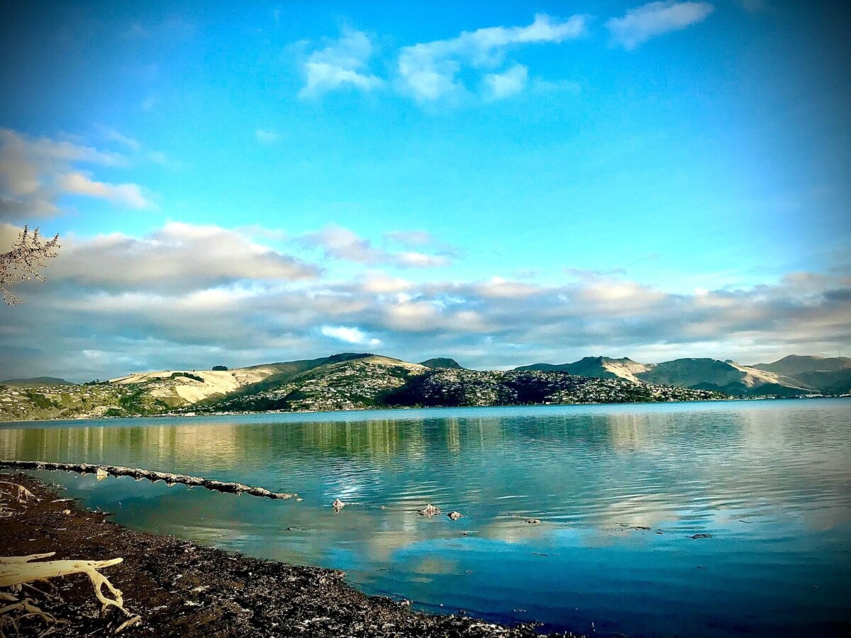 Te Ihutai, and view across the estuary