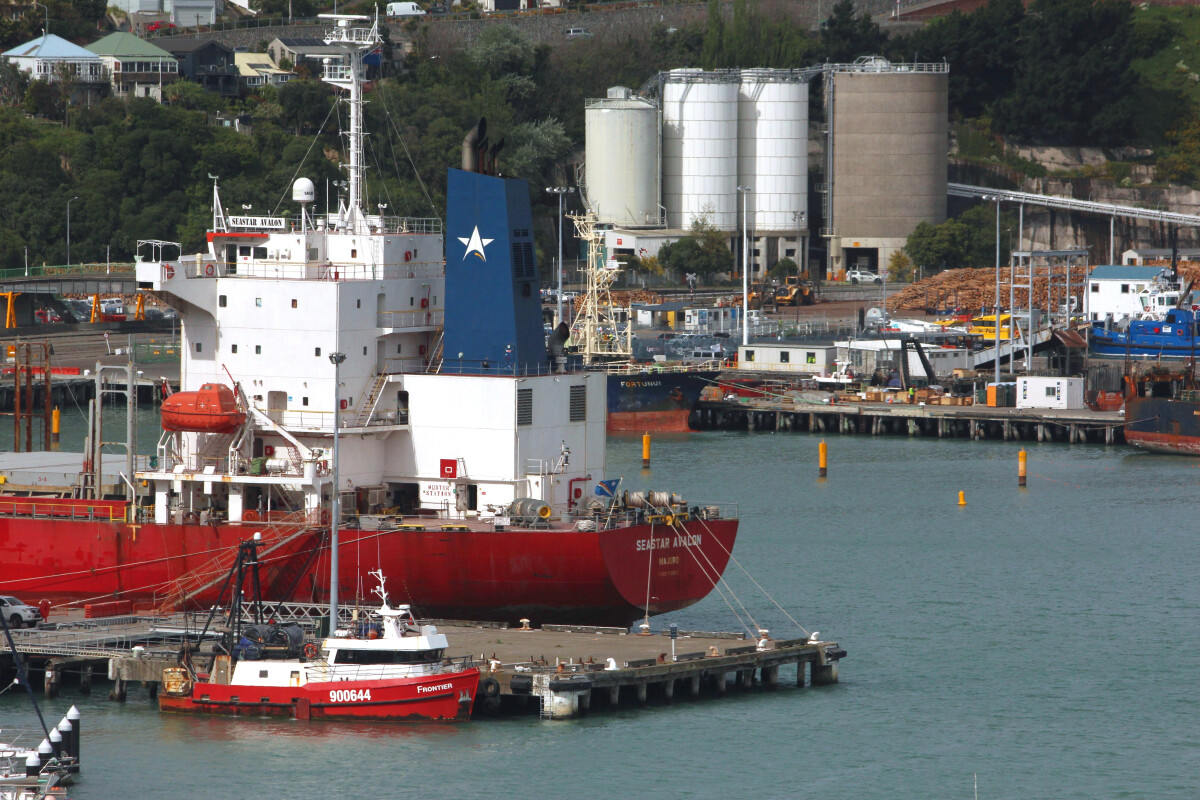 Fishing vessels and bulk carrier in Lyttelton Port