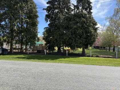 Albury School playground
