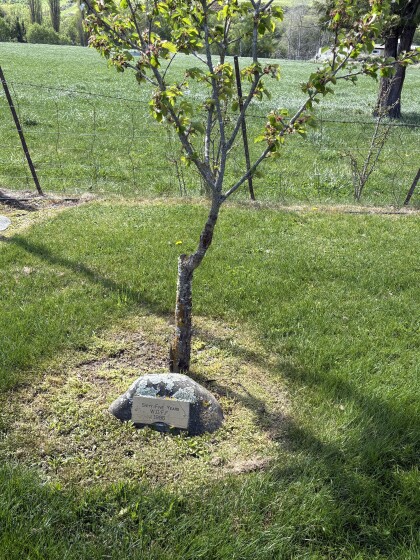 Women's Division Federated Farmers plaque