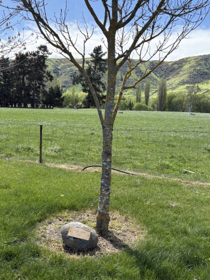 Women's Division Federated Farmers golden jubilee