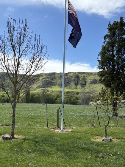 New Zealand flag on a flagpole at Albury War Memorial