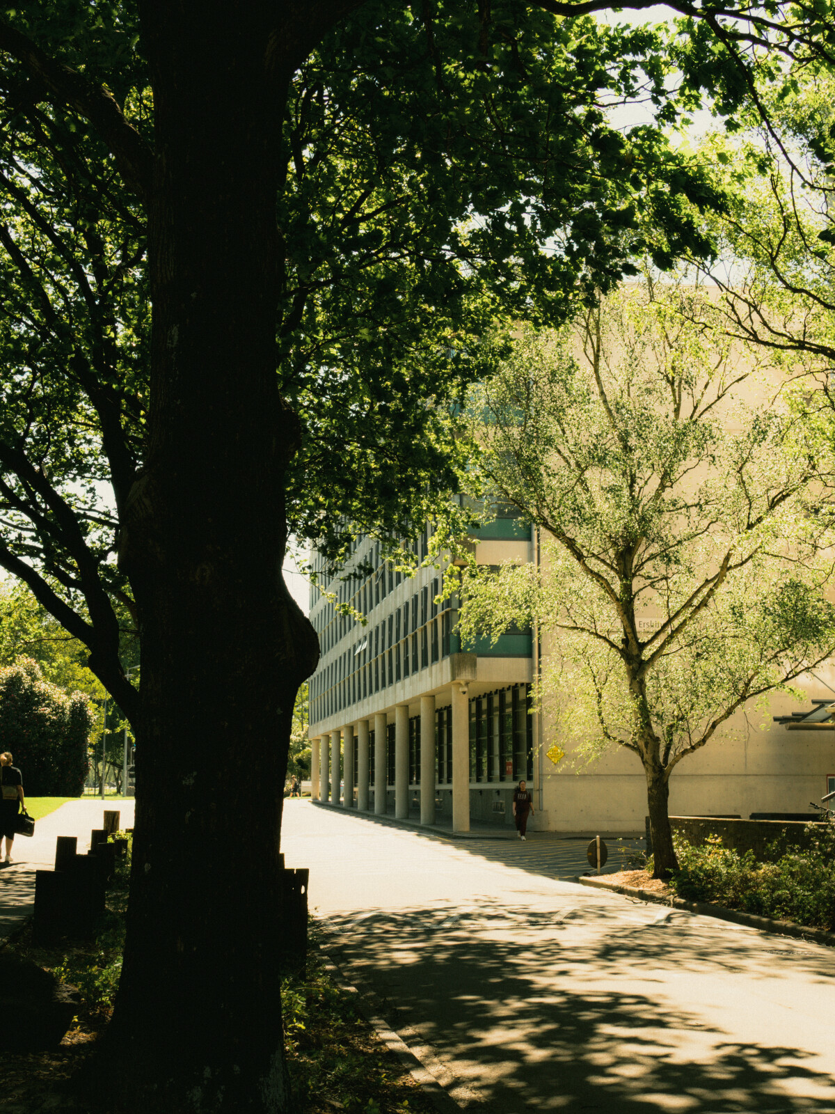 Jack Erskine Building, University of Canterbury