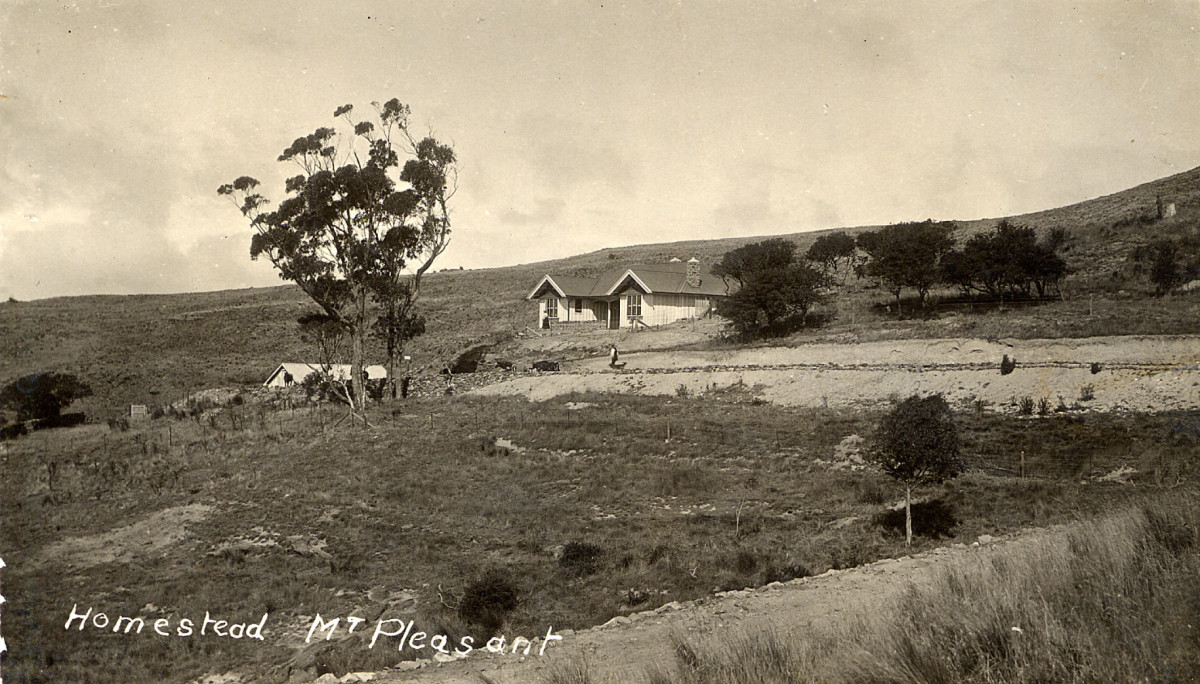 Homestead, Mt. Pleasant discoverywall.nz