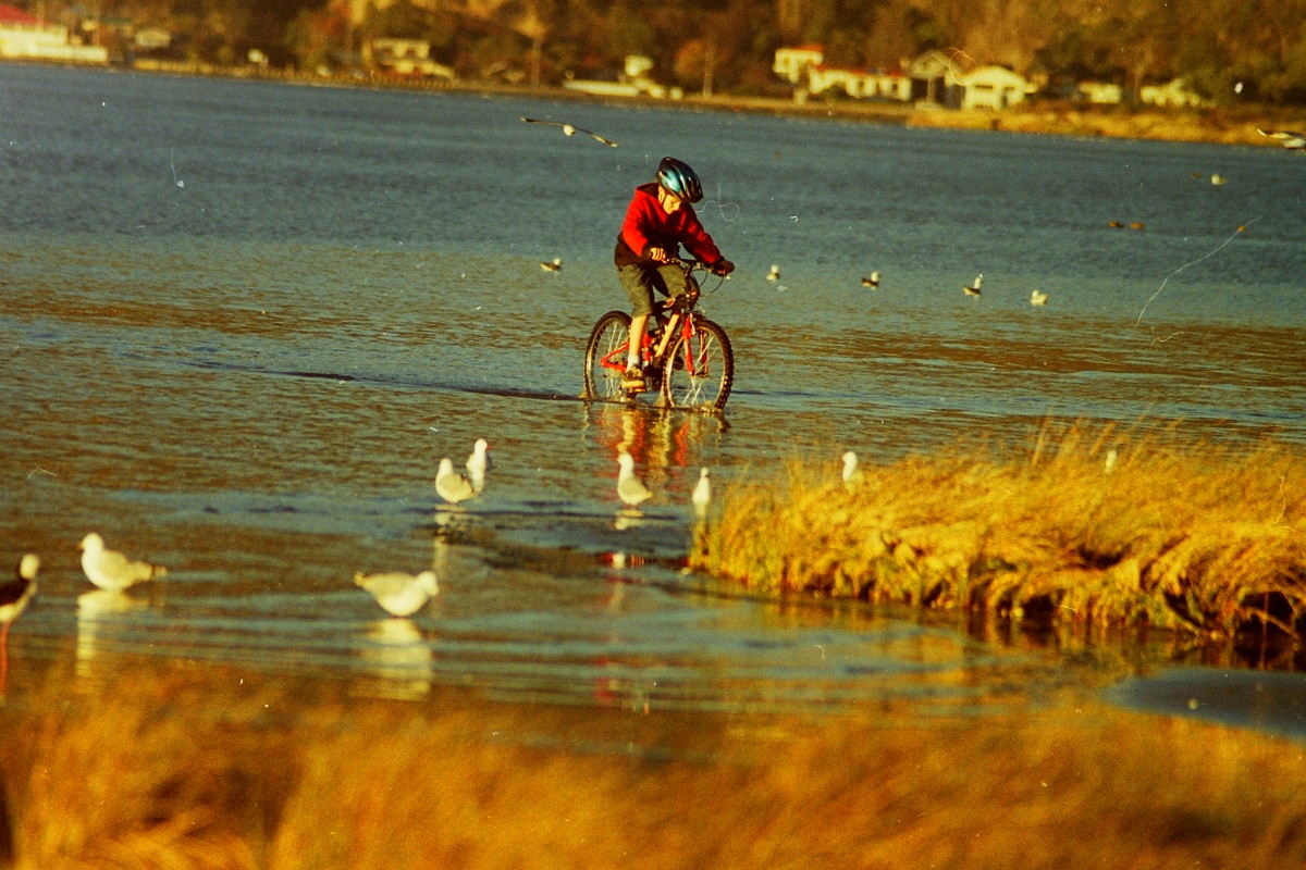 Biking in the estuary off Rocking Horse Road discoverywall.nz