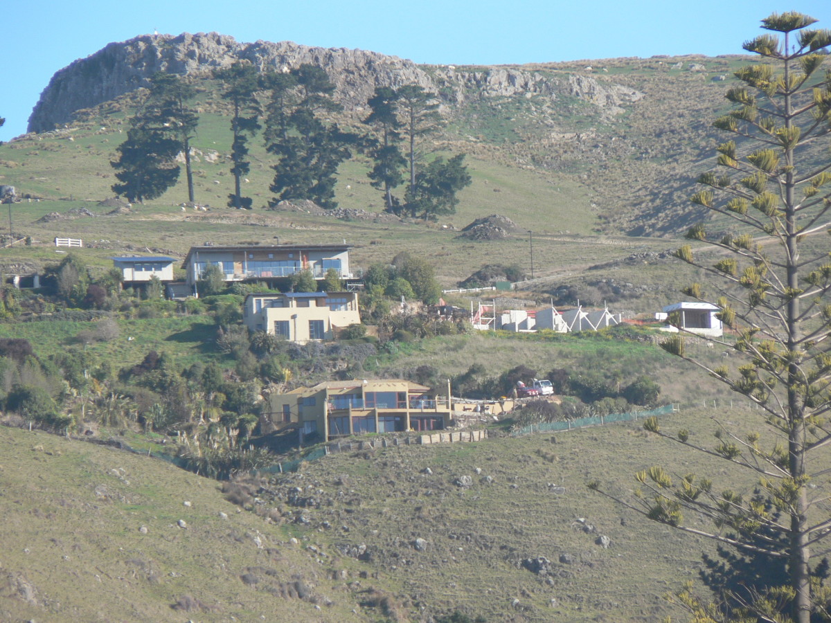 Houses on Richmond Hill discoverywall.nz