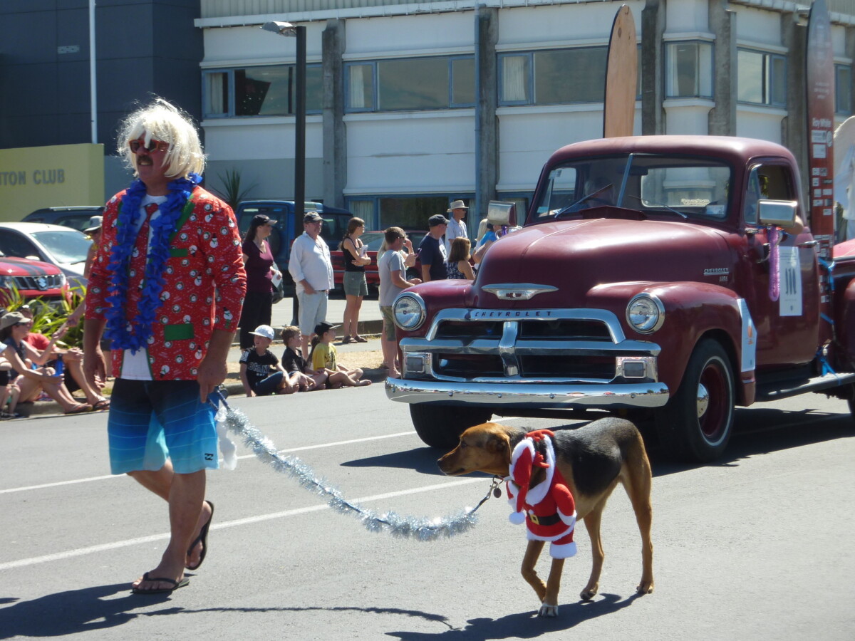 Colour photo of a man leading a dog dressed as Santa in a parade, 2017