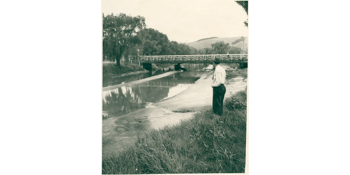 Bridge on the Heathcote River | discoverywall.nz