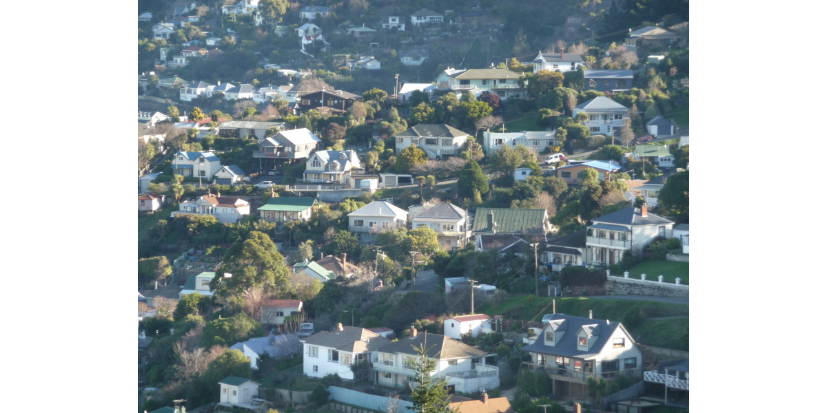 View of Lyttelton houses discoverywall.nz