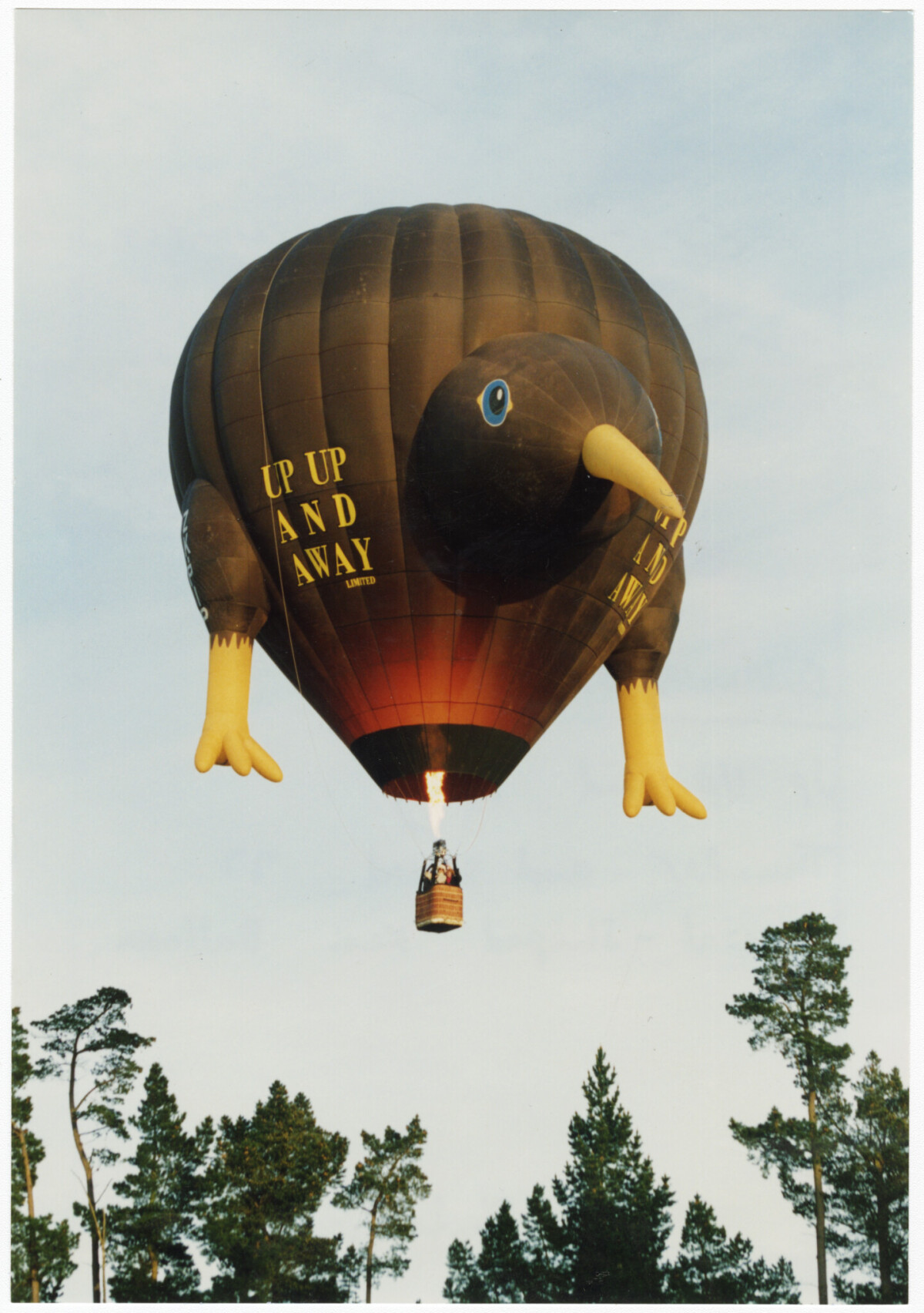 winter-balloon-festival-hare-and-hounds-race-discoverywall-nz